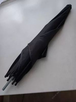 Slunečník černý hranatý.