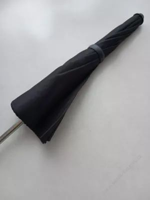Slunečník černý.