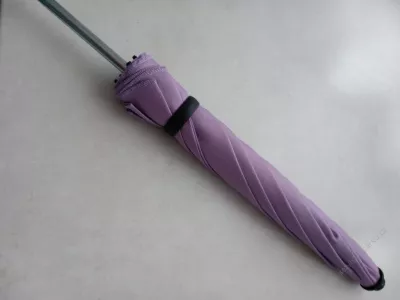 Slunečník fialový.